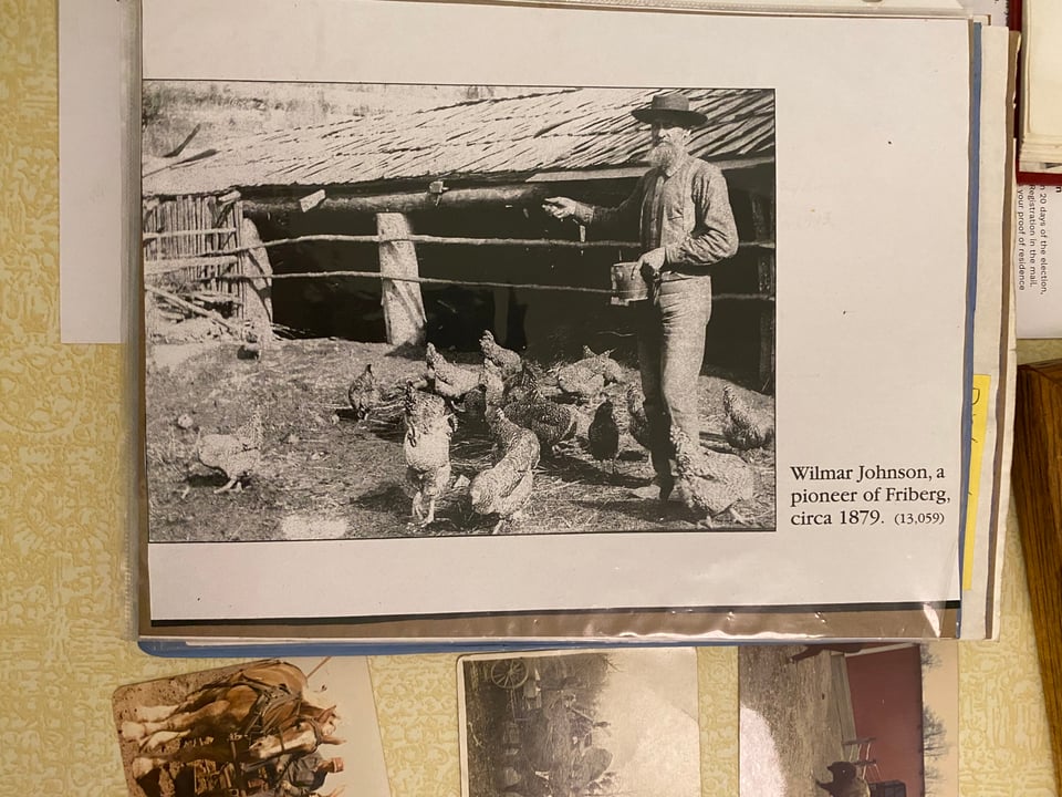 A black and white photo in a binder with a man feeding his chickens caption reads "Wilmar Johnson, a pioneer of Friberg, circa 1879