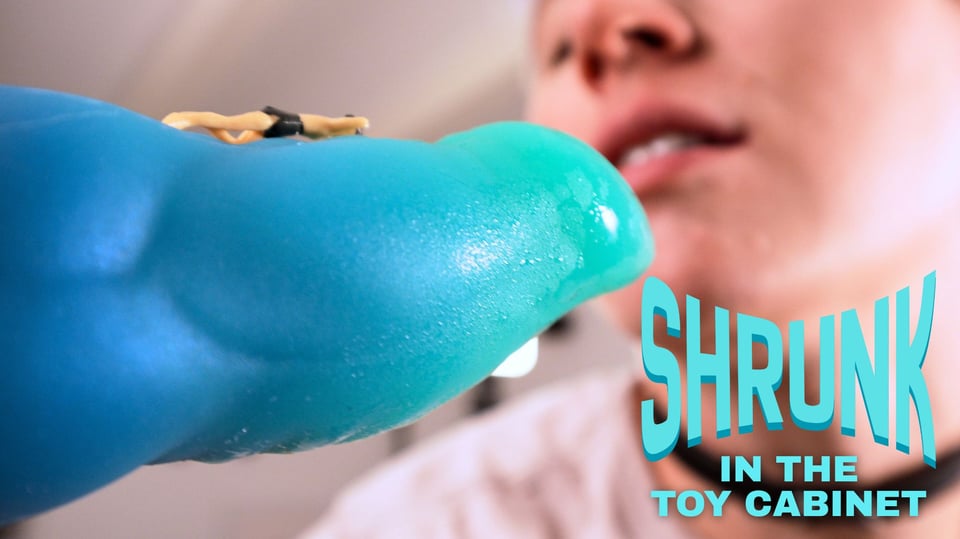 Cover image for “Shrunk in the Toy Cabinet.”