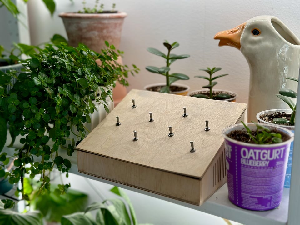 A small wooden box with eight switches, sitting on a shelf covered in plants