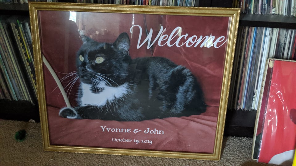 A framed poster of Walter, a tuxedo cat, sitting on a red chair, with the text:
"Welcome
Yvonne & John
October 19, 2019"