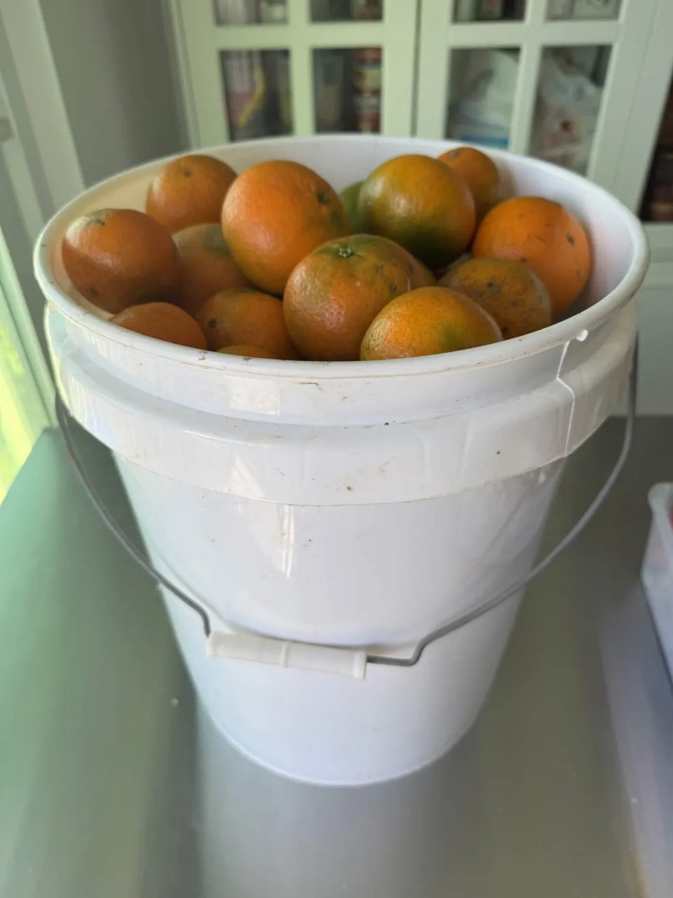 lots of tangerines