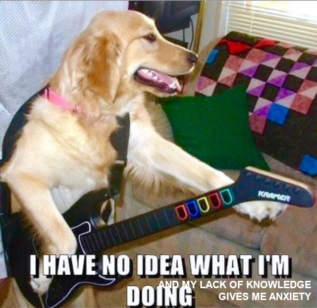 A dog posed to appear it's playing a Guitar Hero guitar with the meme caption "I have no idea what I'm doing" and Joanne's addition, "And my lack of knowledge gives me anxiety."