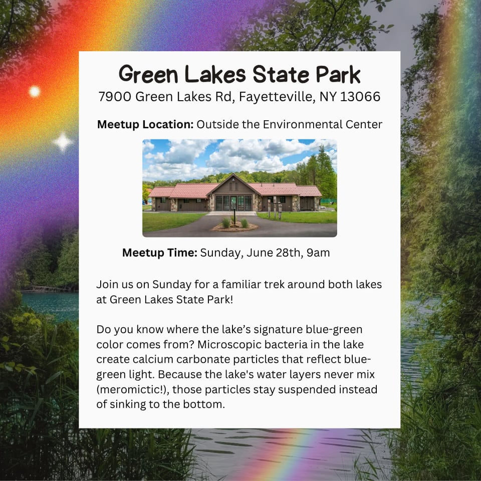 Hike Location: Green Lakes State Park.
Address: 7900 Green Lakes Rd, Fayetteville, NY 13066.
Meetup Location: Outside the Environmental Center.
Meetup Time: Sunday, June 28th, 9am.
Join us on Sunday for a familiar trek around both lakes at Green Lakes State Park!
Do you know where the lake's signature blue-green color comes from? Microscopic bacteria in the lake create calcium carbonate particles that reflect blue-green light. Because the lake's water layers never mix (meromictic!), those particles stay suspended instead of sinking to the bottom.