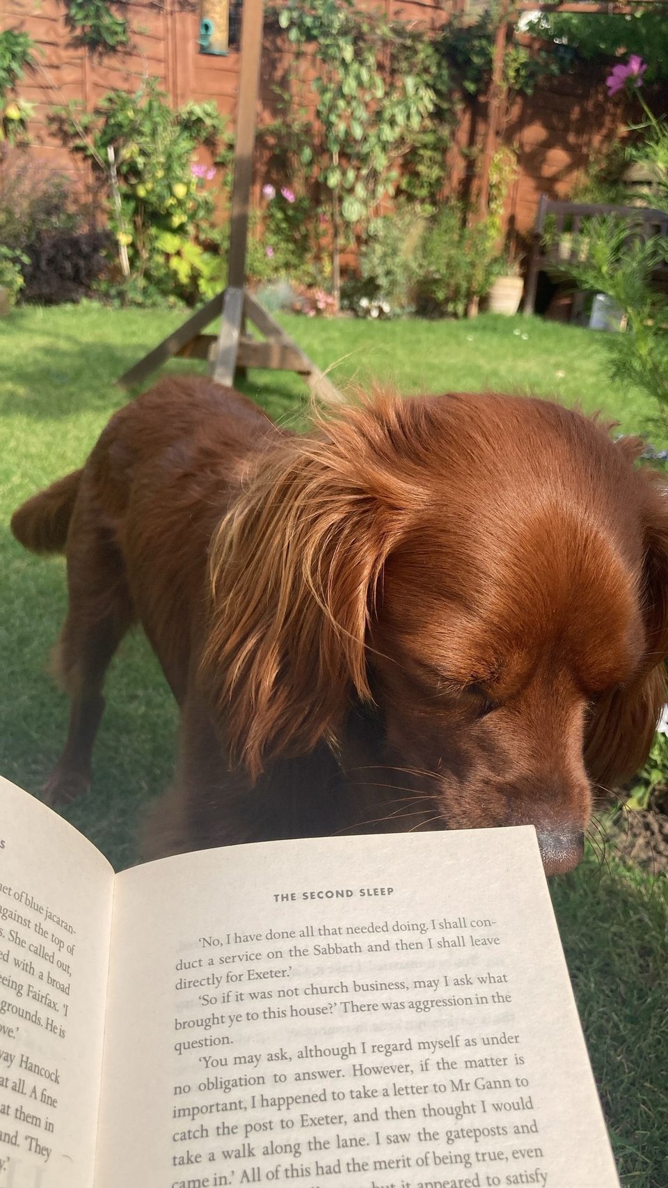 Radio and a book.