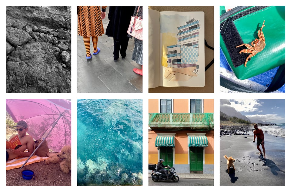 Collage mit Februar-Fotos