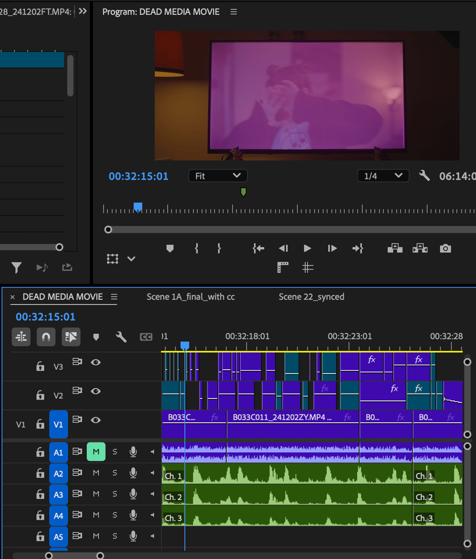 A screen capture of the editing software, Premiere Pro