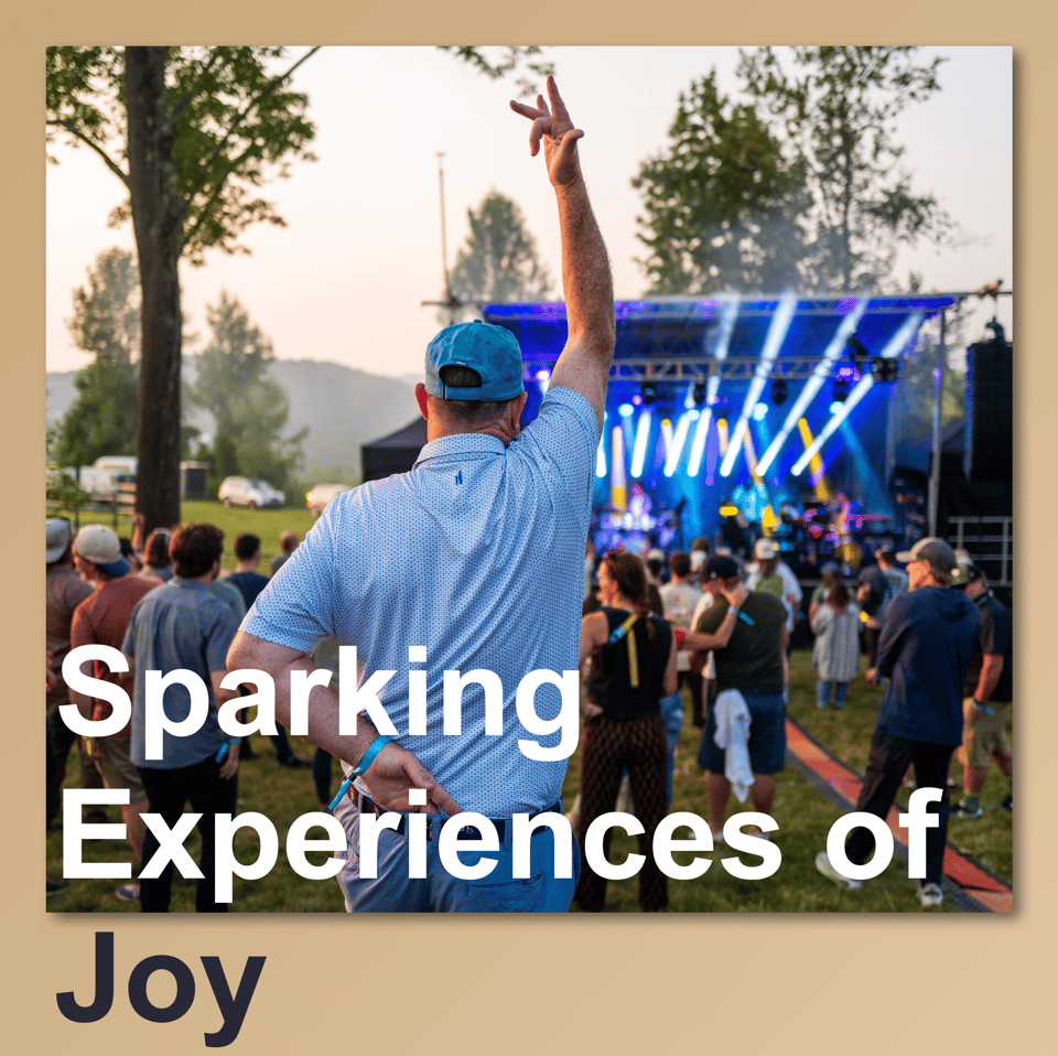 sparking experiences of Joy