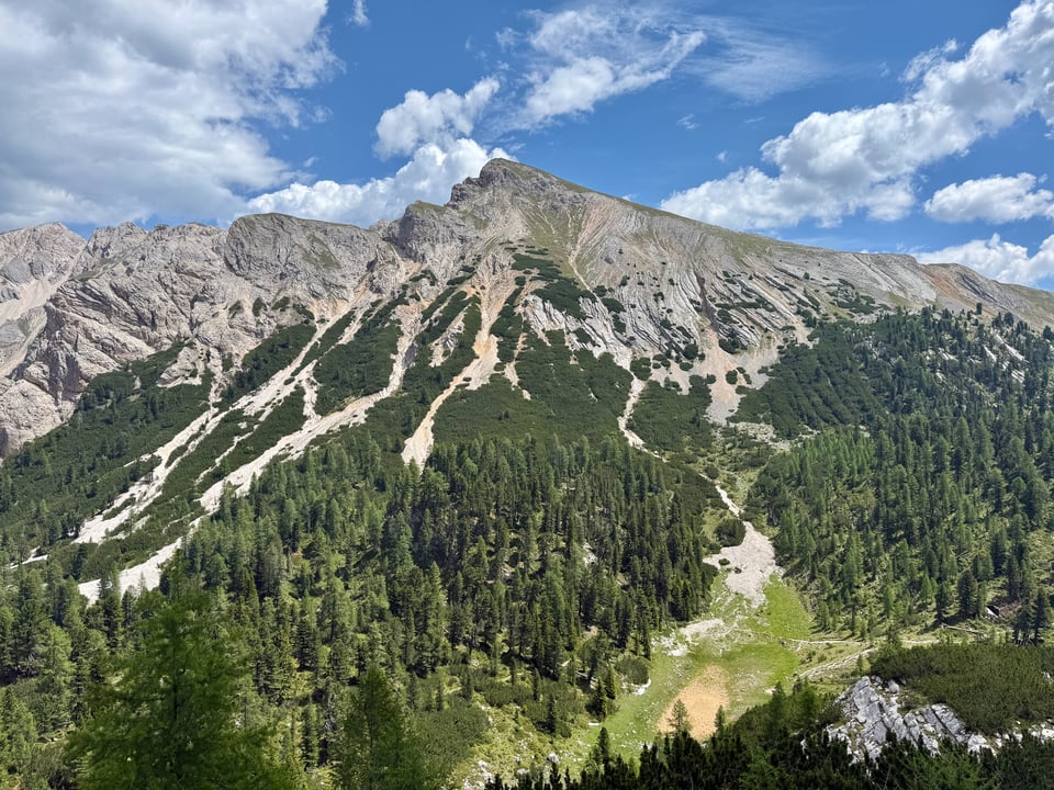 mountains and firs