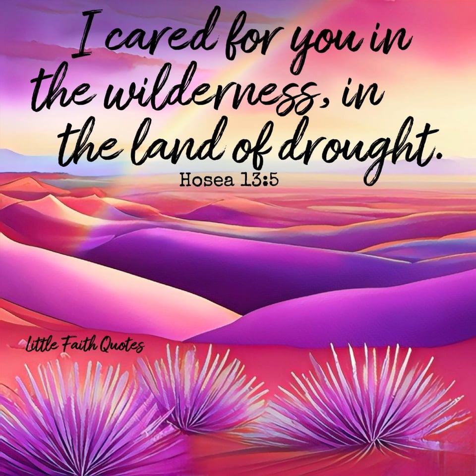 "I cared for you in the wilderness, in the land of drought." ~Hosea 13:5. The sun sets over a purple and pink desert. Tufts of purple flowers pop in the foreground. Image by: @Little Faith Quotes.