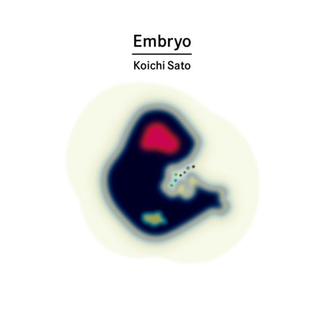 Koichi Sato: Embryo
