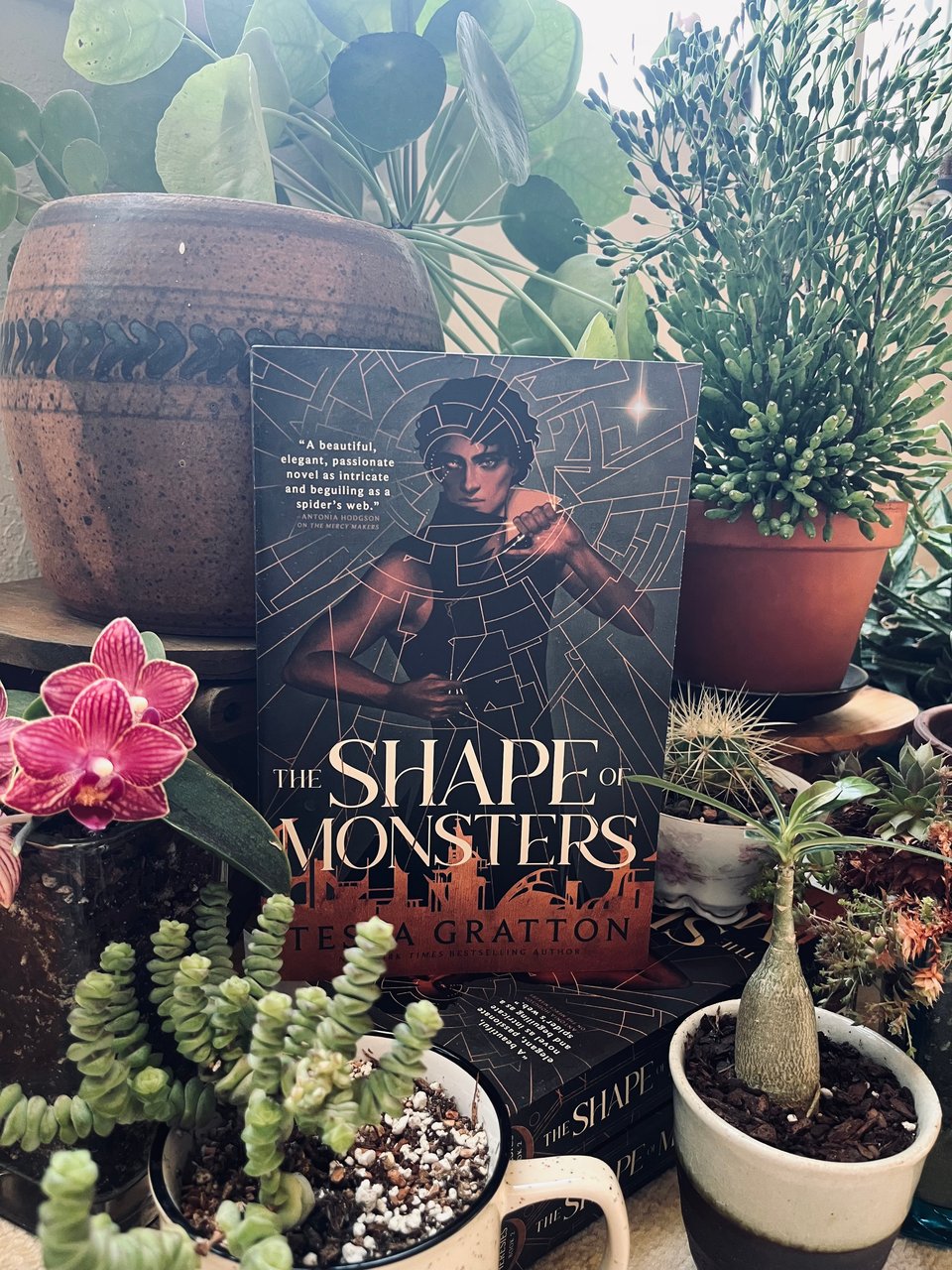 The cover of THE SHAPE OF MONSTERS, with a dark-skinned man breaking through a web of magic, surrounded by green succulents and cacti in little mugs and tea cups and pots.