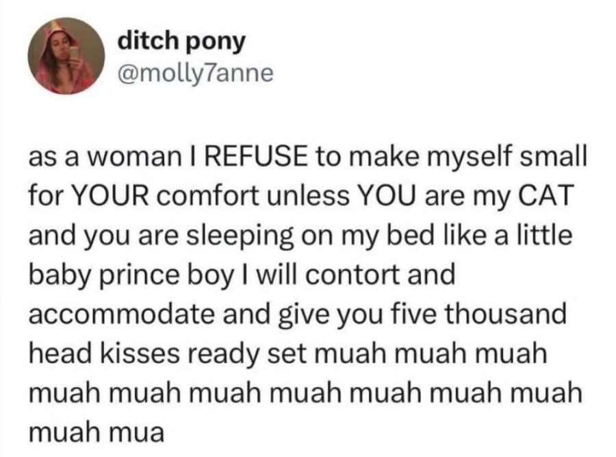 @molly7anne: as a woman I REFUSE to make myself small for YOUR comfort unless YOU are my CAT and you are sleeping on my bed like a little baby prince boy I will contort and accomodate and give you five thousand head kisses ready set muah muah muah muah muah muah muah muah muah muah muah mua