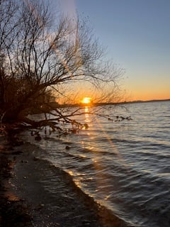 an orange sun setting over calm lake waves, framed by leafless branches and an azure sky