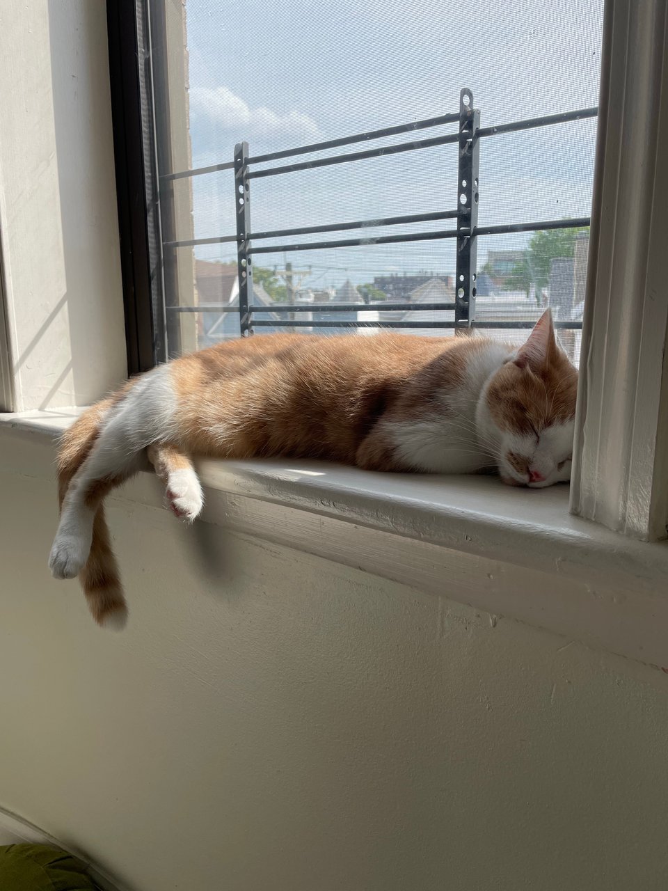 Timmy tired from traveling back