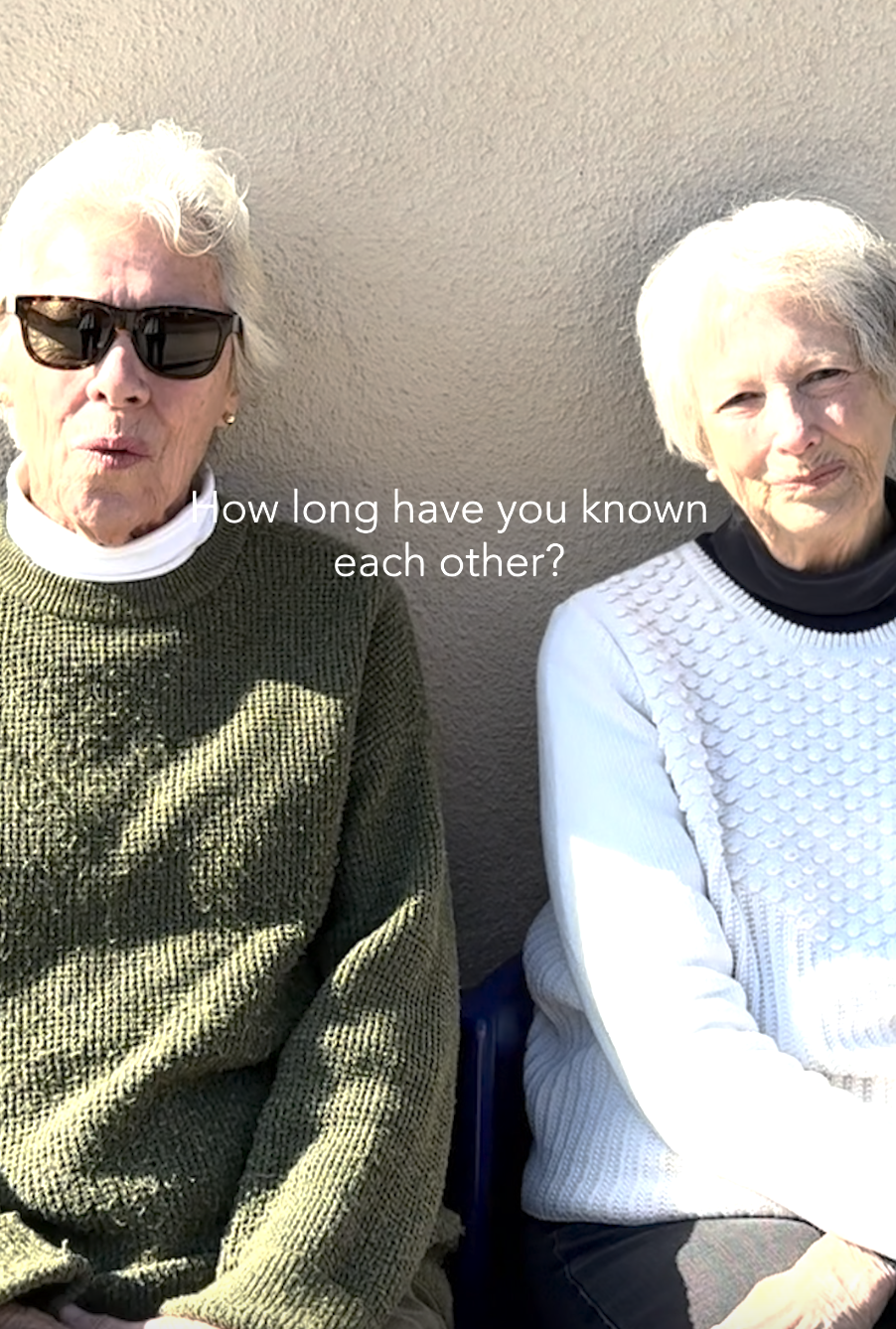 Big Talk Newsletter: Questions to Live Longer & BOGO Free Big Talk Card Games