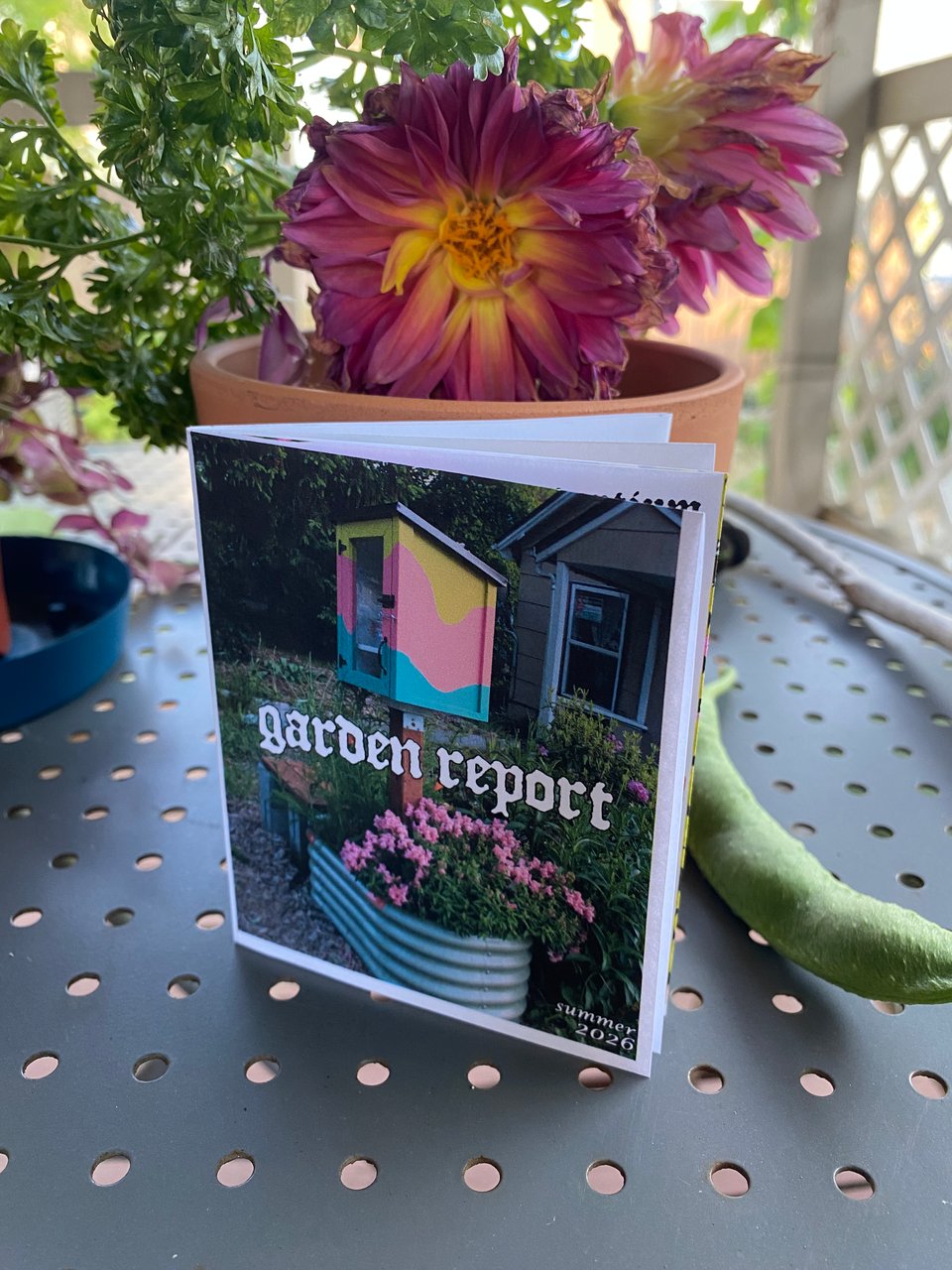 garden report zine stood up on a table with a dahlia and bean pod.