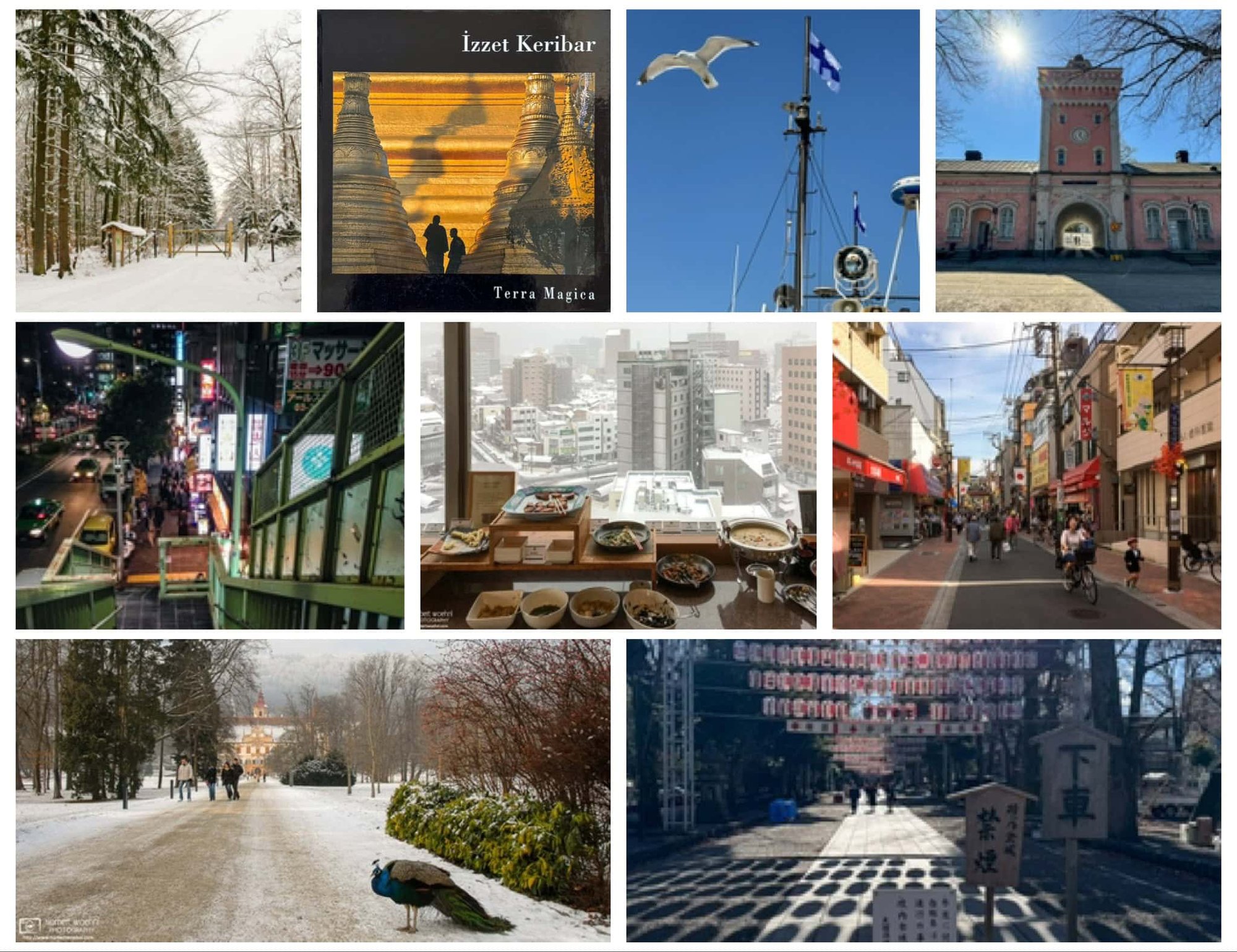 Onward into 2026 🐎