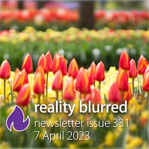Red tulips with rows of red and yellow tulips in the background, and the words "reality blurred newsletter issue 331, 7 April 2023"