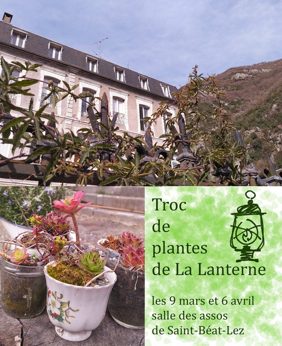 Trois images : en haut, une photo représentant au premier plan de la passiflore courant sur une grille devant un bâtiment à gauche et une montagne à droite ; en bas à gauche, la photo de plusieurs joubarbes dans des tasses en porcelaine et pots en verre avec un bouquin de romarin à l'arrière plan ; en bas à droite, le logo de l'association, un croquis de Lanterne, sur fond de petites feuilles vertes, avec le texte suivant : troc de plantes de la Lanterne, les 9 mars et 6 avril, salle des assos de Saint-Béat-Lez.