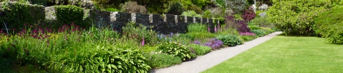 A garden with a vine-covered low castle wall, and a path bordered by flowers