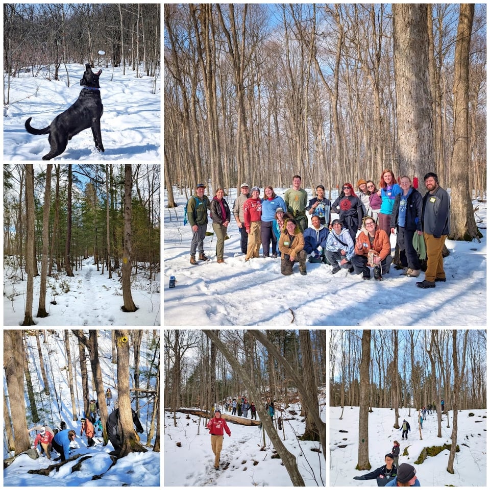 Some photos from our hike at Clark Reservation State Park.