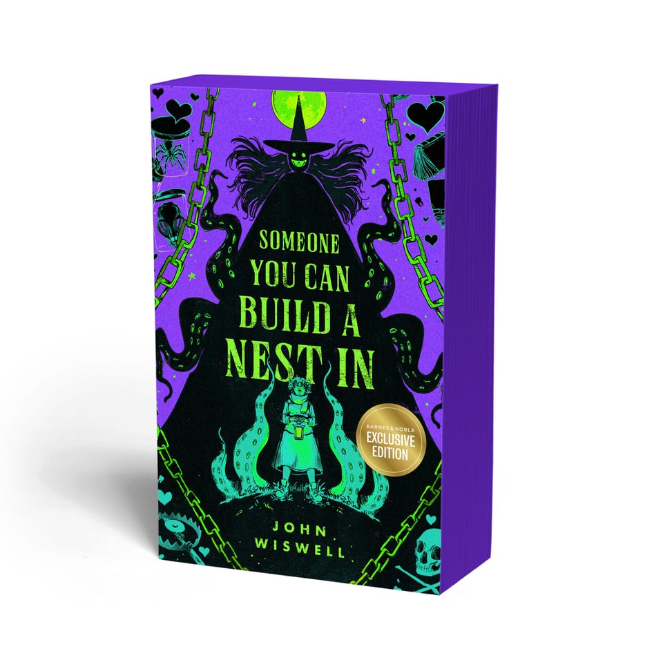 a book cover for someone you can build a nest in