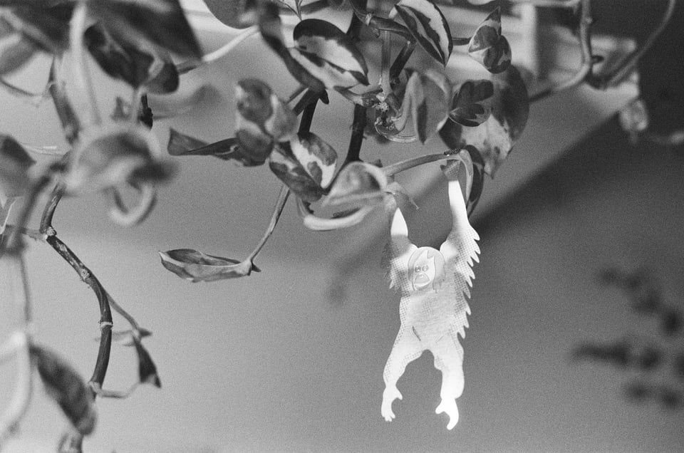 A metal figure of an orangutang dangling from a houseplant.