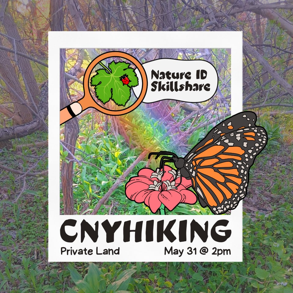 CNY Hiking Nature ID Skillshare on Private Land (LaFayette) on May 31st at 2 PM.