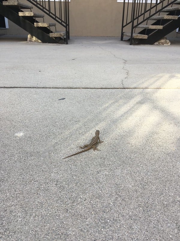 What I did on my Halloween vacation