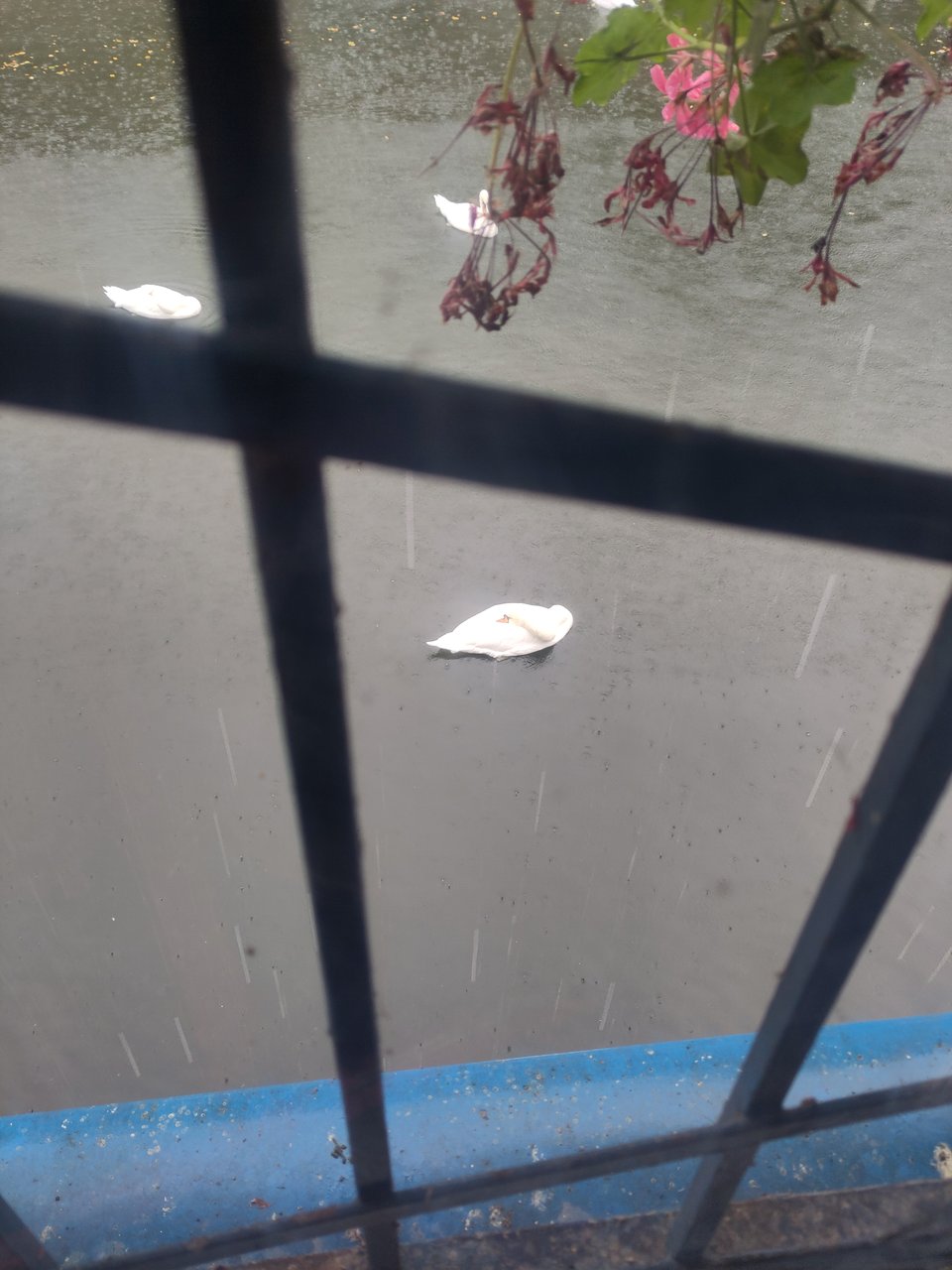 16 // besinnlich, besinnlich