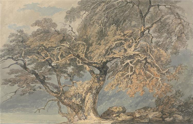 A Great Tree by J.M.W. Turner, c1796. It depicts a wild willow with scattered branches and a disarrayed body in a hazy Romantic chiaroscuro.