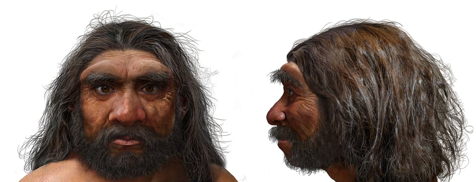 Reconstruction of the Harbin skull: a man with long hair, a beard and a prominent brow