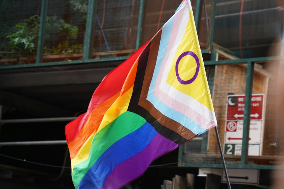 Image of a rainblow flag with brown and black, trans colors and nonbinary symbol