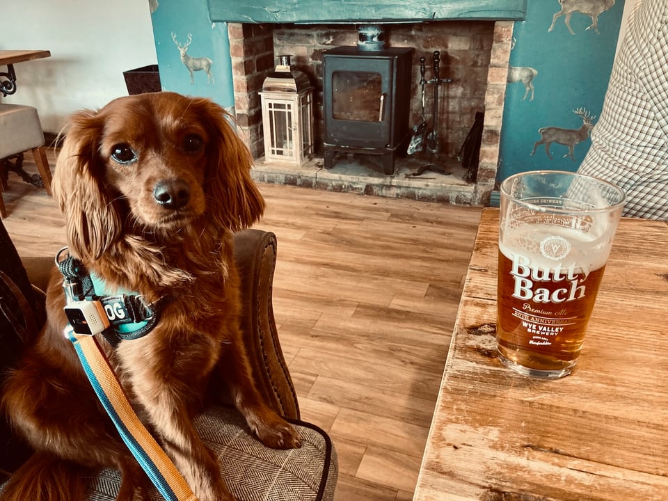 Radio beside a lovely beer called Butty Bach.