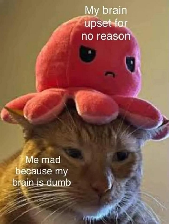A photo of a pink octopus stuffed toy perched on the head of an orange cat. The octpus is labelled "my brain upset for no reason". The cat is labelled "Me mad because my brain is dumb"