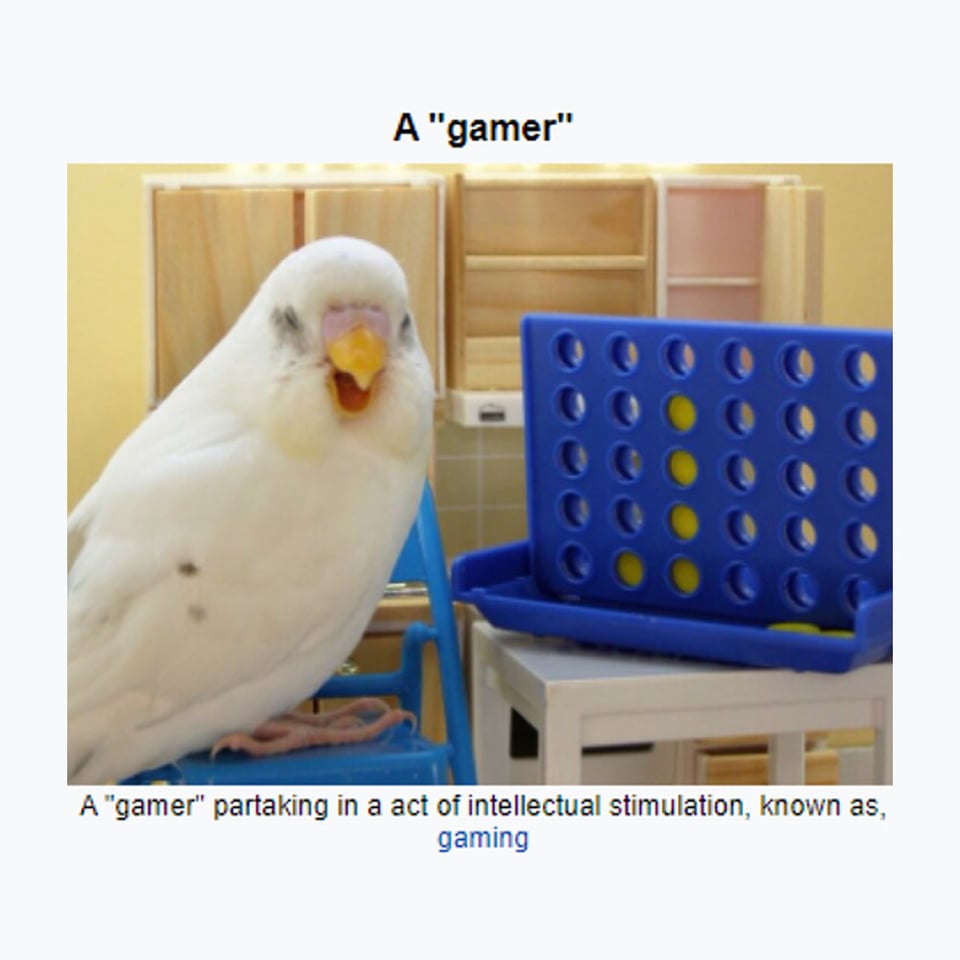 A gamer