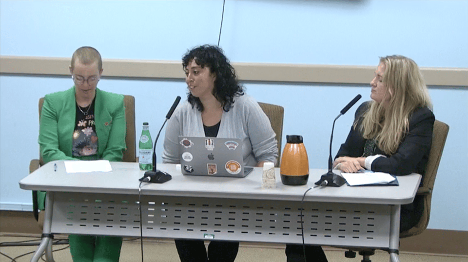 Panelists give testimony at a NYC city council hearing