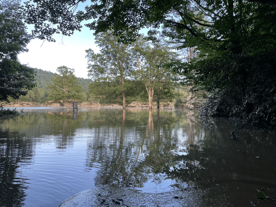 Flooding at a local park. In the distance, you can see the floodwaters up to the base of a park sign.