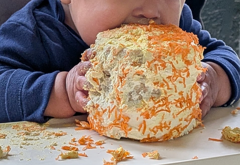 a small cake with pale yellow frosting and covered with shredded carrot. A baby with medium brown skin is holding the cake in both hands and chomping down on it, but for privacy the photo is cropped so only the bottom half of the baby's face is in the frame.