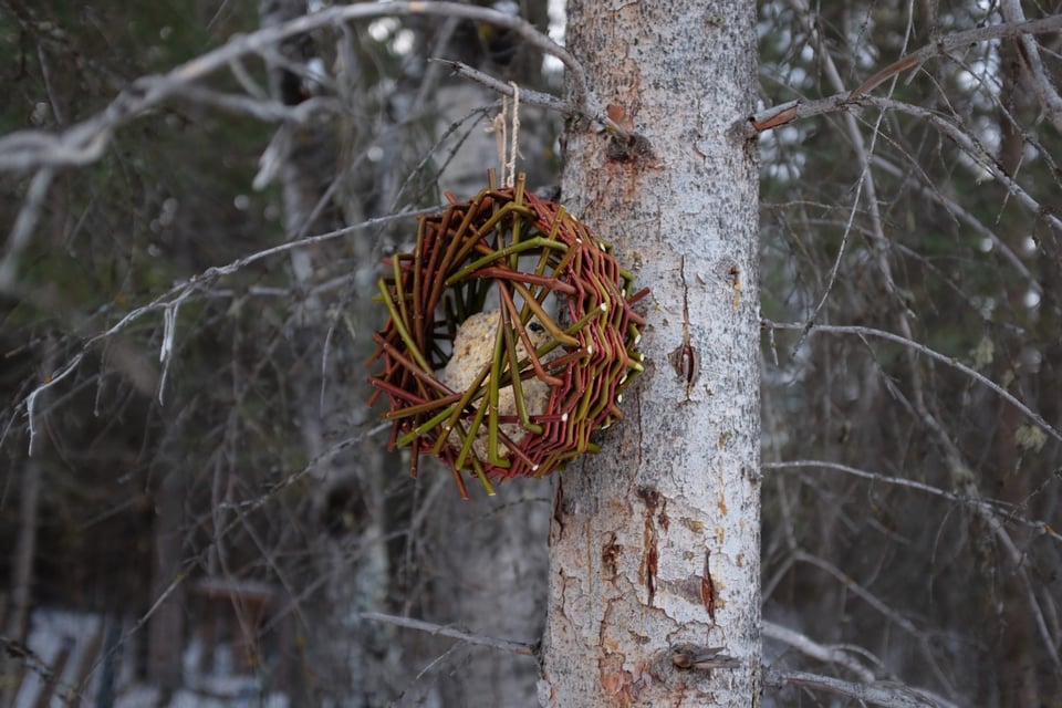 bird-feeder-side-1500.jpg
