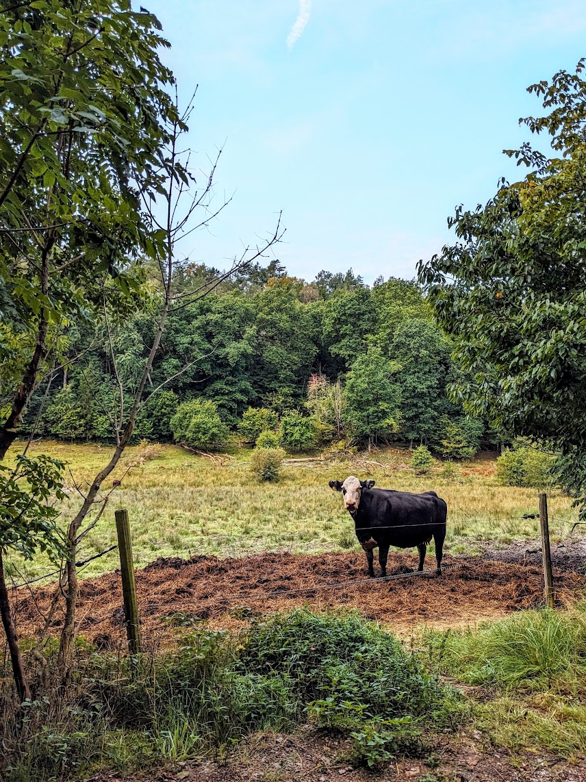 [002] The Kuststigen Trail