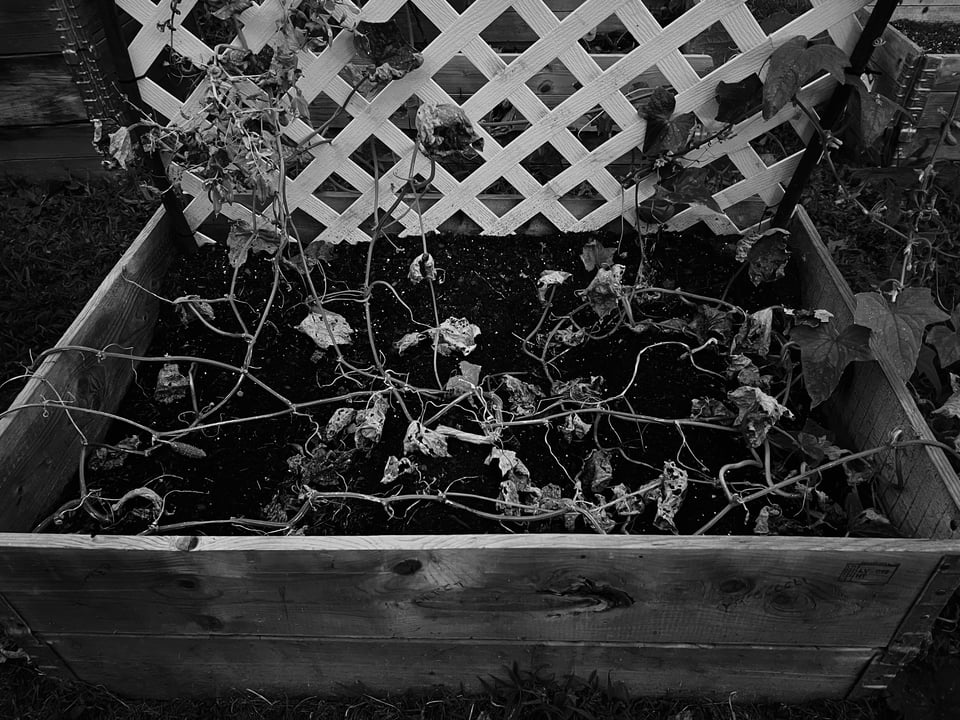 09 — Devastation.jpeg