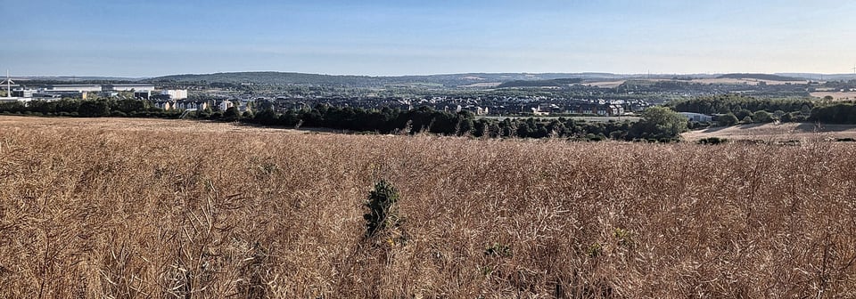 A large field in the foreground, with the housing estates of Waverley visible across a line of trees on the horizon.
