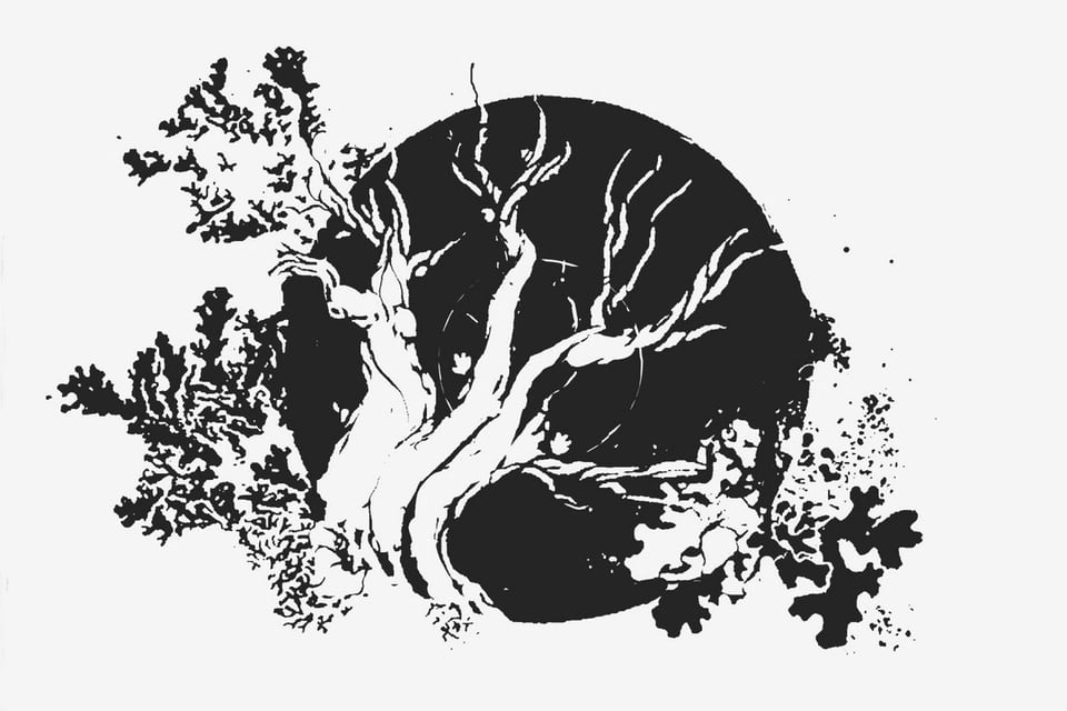 Elmet Brae cover art