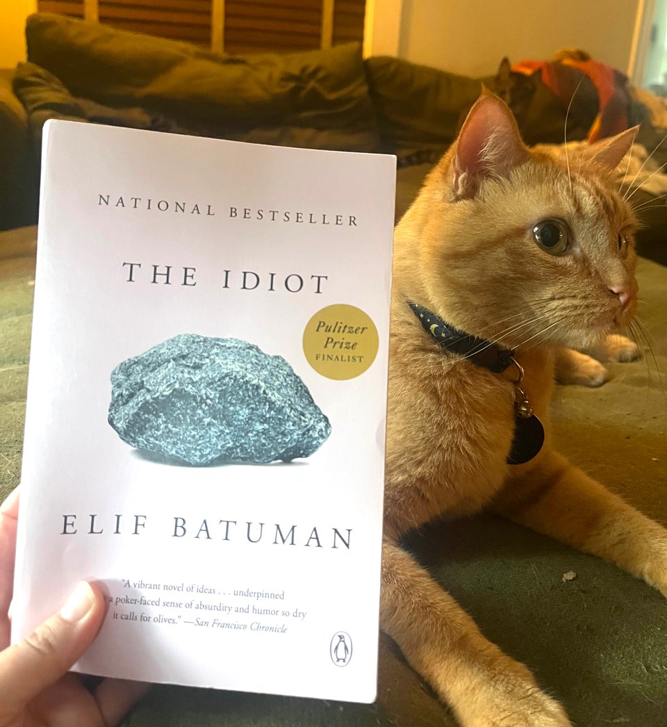The paperback version of the book The Idiot by Elif Batuman is posed next to an orange tabby cat on a green couch.