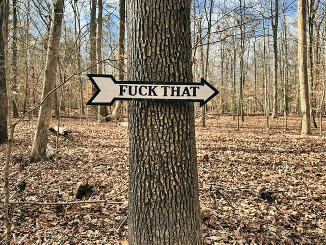 A sign hung up on a tree in the forest. The sign is shaped like an arrow point to the right and written across the arrow is âFUCK THATâ
