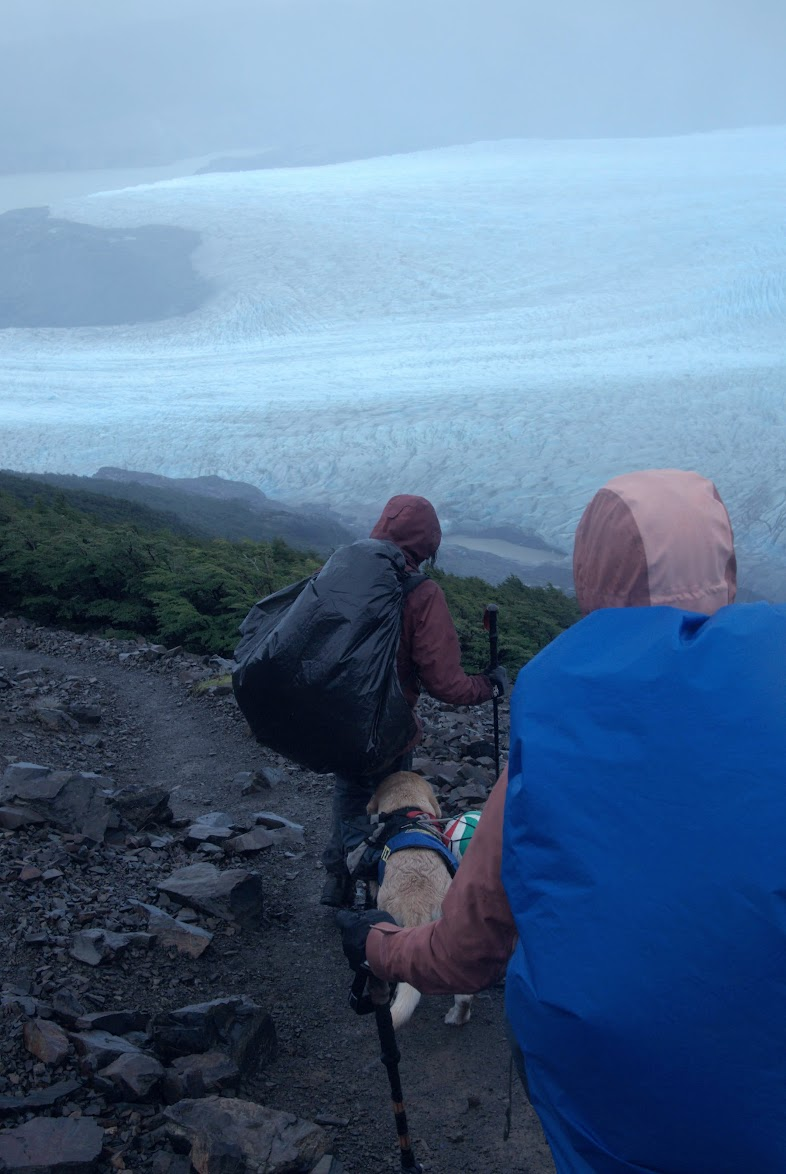Down to Grey Glacier