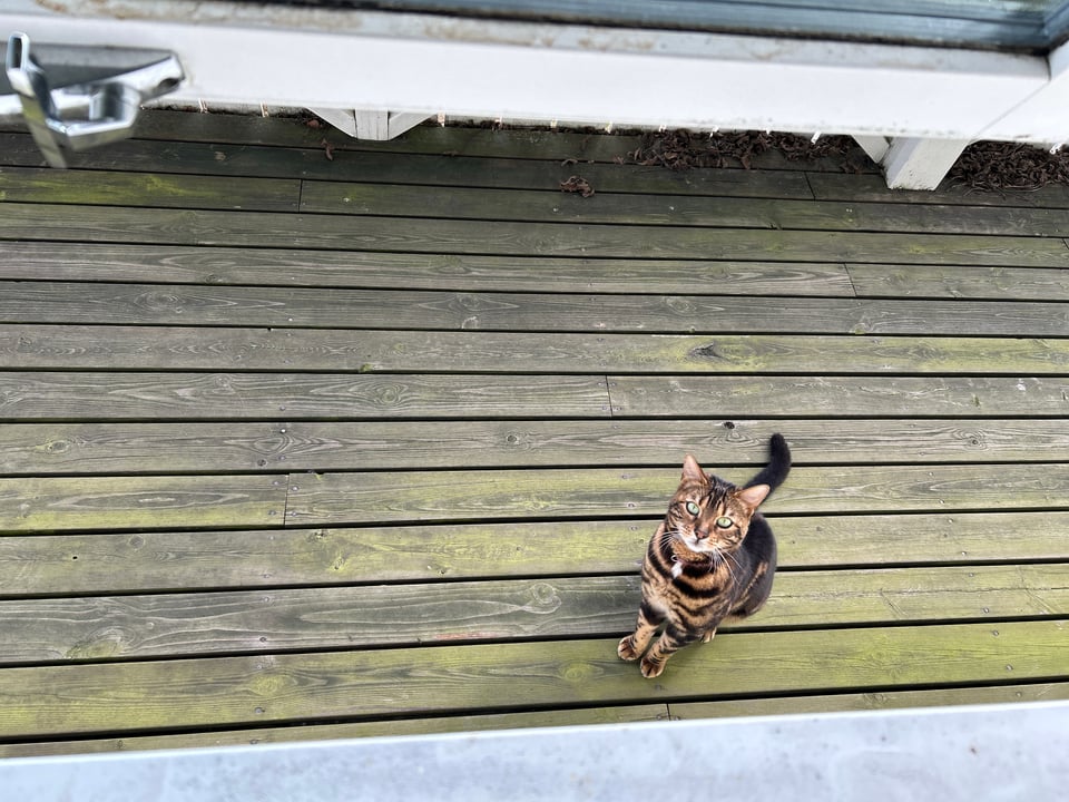 What to write when you can't write