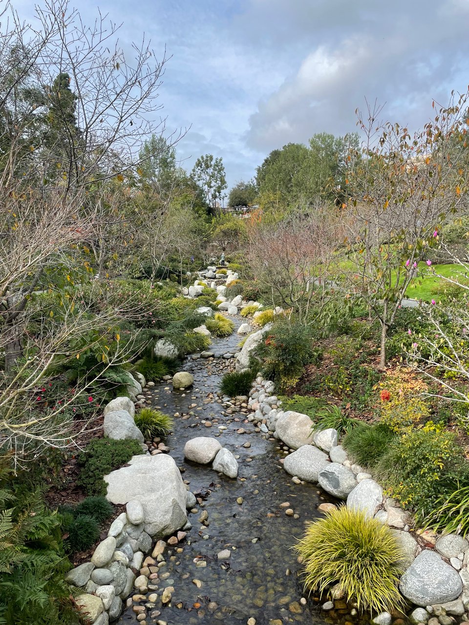 A stream in the Japanese Friendship Garden