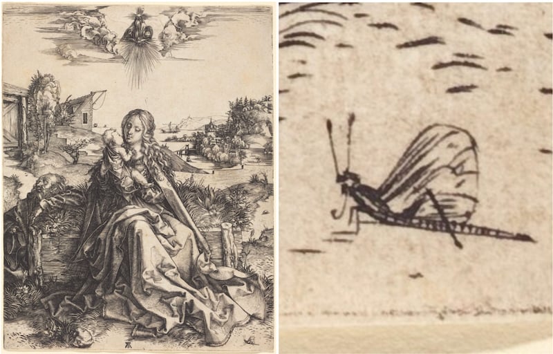 Albrecht Dürer, The Holy Family with the Mayfly,1495-/1496. / Source: National Gallery of Art